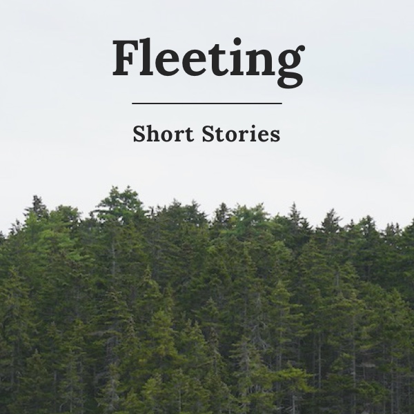Fleeting Cover